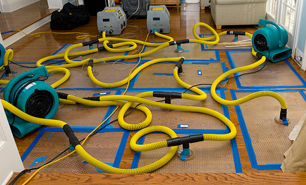 Professional Storm Water Damage Restoration technician working in Elrosa, MN